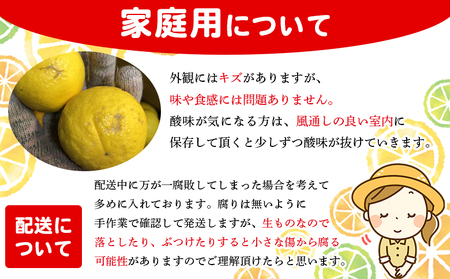 ＜木下さんちのニューサマーオレンジ 家庭用 約5kg（大中小サイズ混み）＞ 柑橘類 日向夏 ミカン 蜜柑 果物 くだもの フルーツ 国産 特産品 木下農園 愛媛県 西予市【常温】『2027年4月上旬～5月中旬に順次出荷』MKS0009