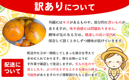 ＜木下さんちのせとか 訳あり 約3kg（S～3L大中小混み）＞ 訳アリ 家庭用 自宅用 柑橘 ミカン みかん 蜜柑 果物 くだもの フルーツ 国産 特産品 木下農園 愛媛県 西予市【常温】『2027年2月下旬～3月下旬に順次出荷』MKS0010
