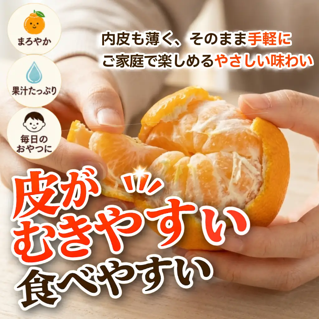 【2月上旬より順次発送】デコポン 訳あり 3kg 柑橘 デコポン
