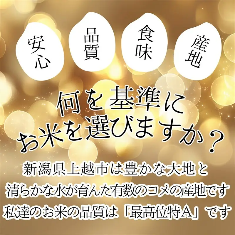 【先行予約】【12月中旬配送】篠宮農場 コシヒカリ 精米 コシヒカリ 10kg