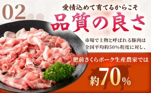 肥前さくらポーク 切り落とし 500g × 2パック 計 1kg 切り落とし 豚 豚肉 吉野ヶ里町/上場食肉[FDQ006]