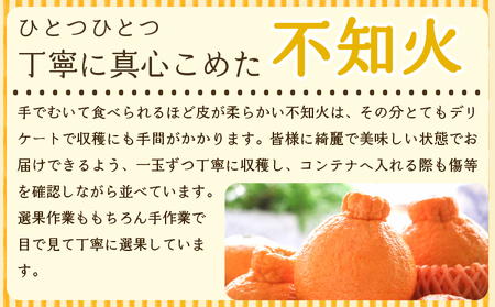 先行予約【2027年3月上旬から4月下旬発送予定】雑誌「MORE」掲載商品 不知火 3kg