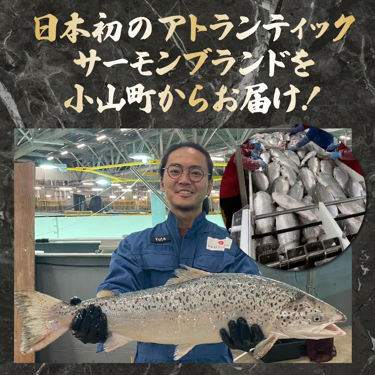 【ふるなびWEEK対象】スモークサーモン・グラブラックス 約100g×4P 国産サーモン
