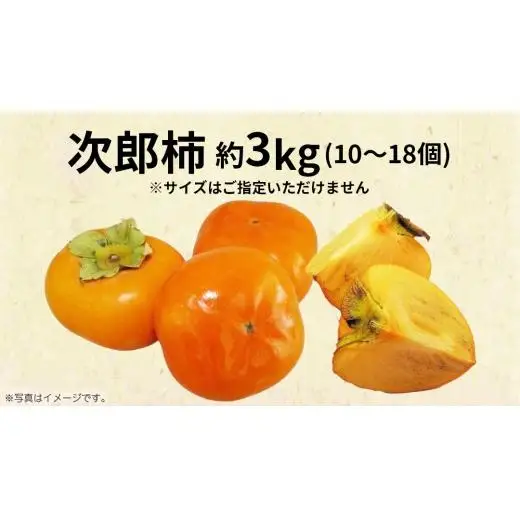 次郎柿 3kg 【2026年9月上旬発送開始】(茨城県共通返礼品：大子町)