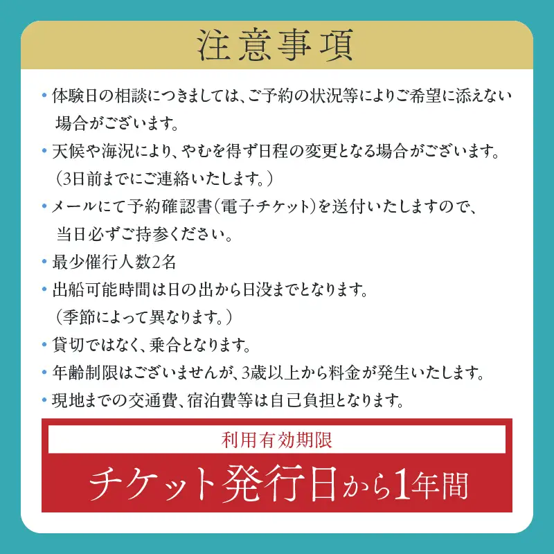 日南海岸観光 クルージング チケット 1枚 ペア 1組 体験チケット クルーズ体験 マリンアクティビティ体験 アウトドア ダイナミック 絶景スポット 楽しむ 遊覧船 旅行 記念日 観光 レジャー ギフト 贈り物 プロポーズ サプライズ 宮崎県 日南市 送料無料_H50-25