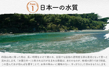 【先行予約】白米 徳島ふるさと応援米 5kg 米