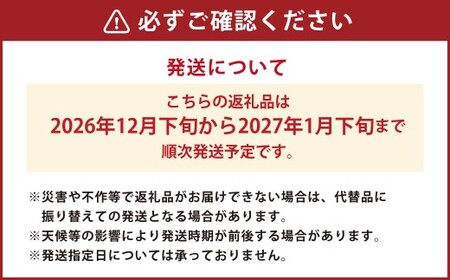 【先行予約】西見柿農園 冷蔵富有柿 12玉から15玉 (約5㎏) 【2026年12月下旬-2027年1月下旬発送予定】 柿 かき カキ 果物 くだもの フルーツ 果実 ジューシー お取り寄せ 福岡県 うきは市