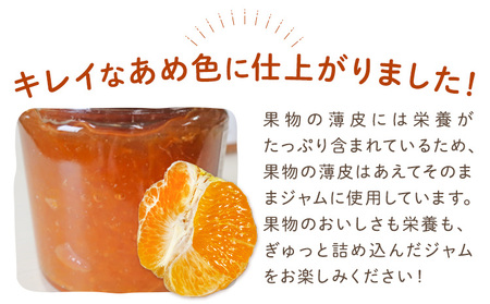 しらぬひとりんごのゴロゴロジャム 3個 (1個250g) ジャム