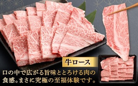 【やまぐち和牛燦】 牛ロース焼肉 約500g 牛ロース 焼肉 焼き肉 牛肉 冷凍 福岡県 北九州市