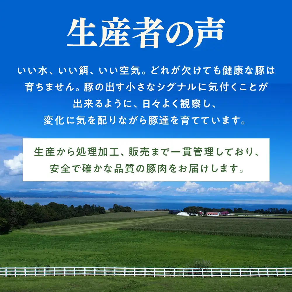 八雲麦小町豚バラ肉1kg(500g×2パック)
