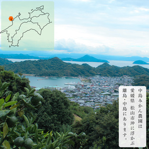【2027年3月頃から順次発送】 せとか 訳あり 2kg ｜ セトカ みかん 蜜柑 柑橘 高級 わけあり 訳あり 甘い みかん 柑橘 愛媛 糖度 せとか 愛媛三大柑橘（ 紅まどんな せとか 甘平 ） 愛媛 松山 中島みかん農園【NM031】