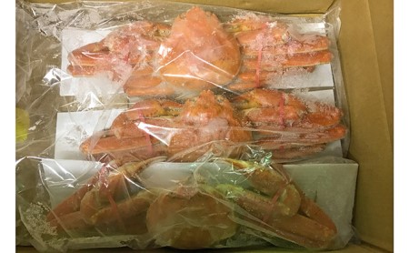 ボイル　カニ姿ずわい蟹　3尾　約1.8kg