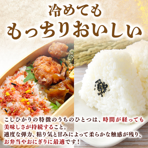 令和8年産 新米 こしひかり 5kg 3回定期便 新米