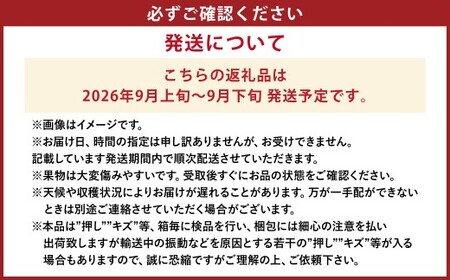 【先行予約】岡山県産 瀬戸ジャイアンツ2房【2026年9月上旬～9月下旬まで順次発送予定】（1房480g以上）約1kg 化粧箱入り【ぶどう 果物 フルーツ 国産 人気 おすすめ 岡山県 倉敷市】
