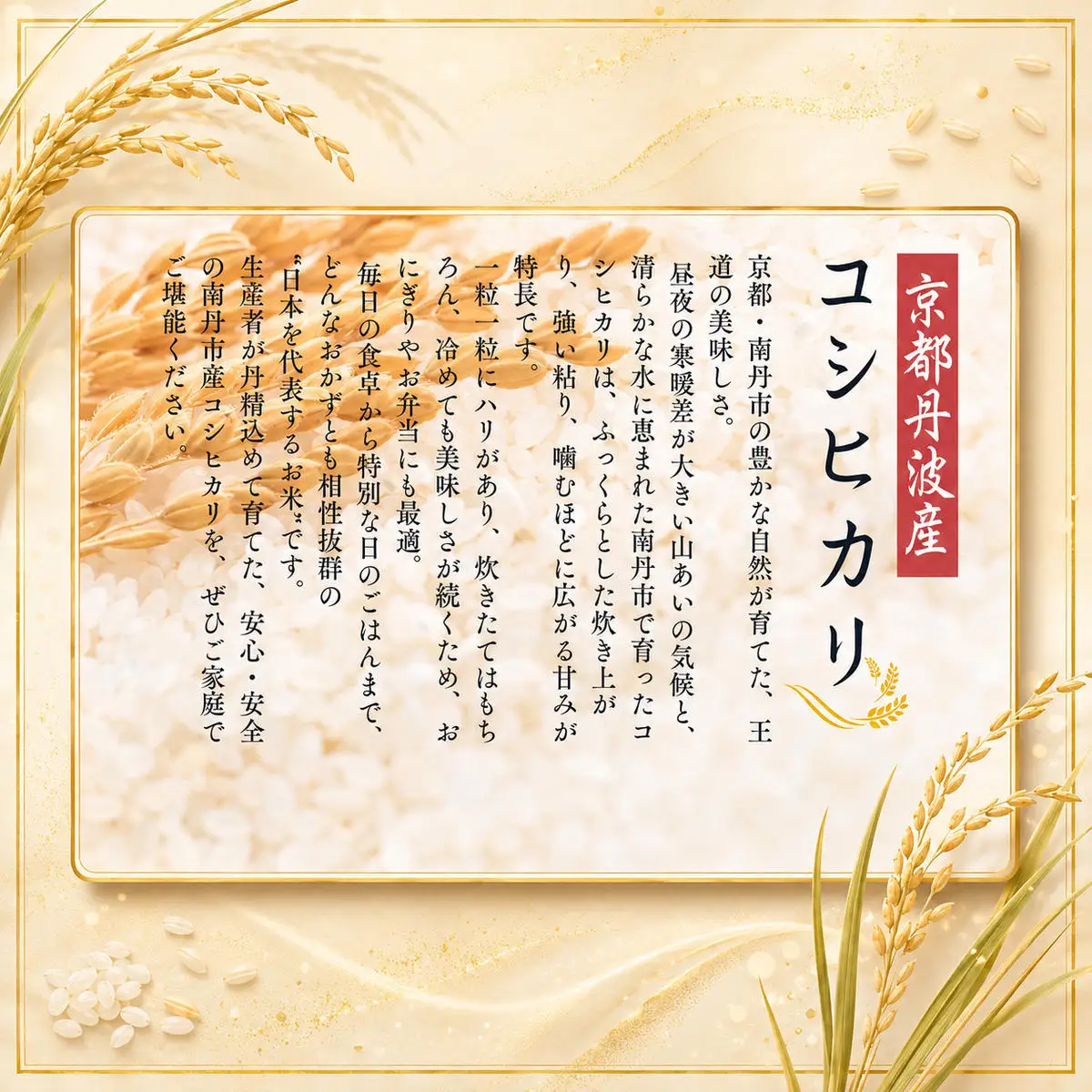 定期便 令和8年産 京都丹波産 コシヒカリ 10kg 6回 京都 お米 米 令和8年 10キロ 新米 新米26