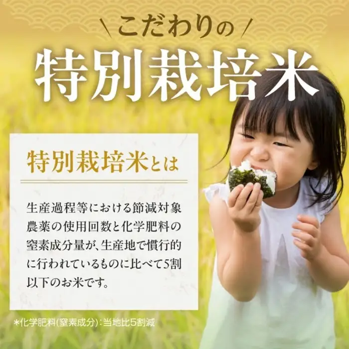 ミルキークイーン精米 10kg [ ミルキークイーン ] / 002310D