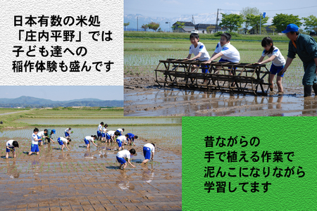 SB1017　令和7年産【精米】 はえぬき 6kg (2kg×3袋) SI