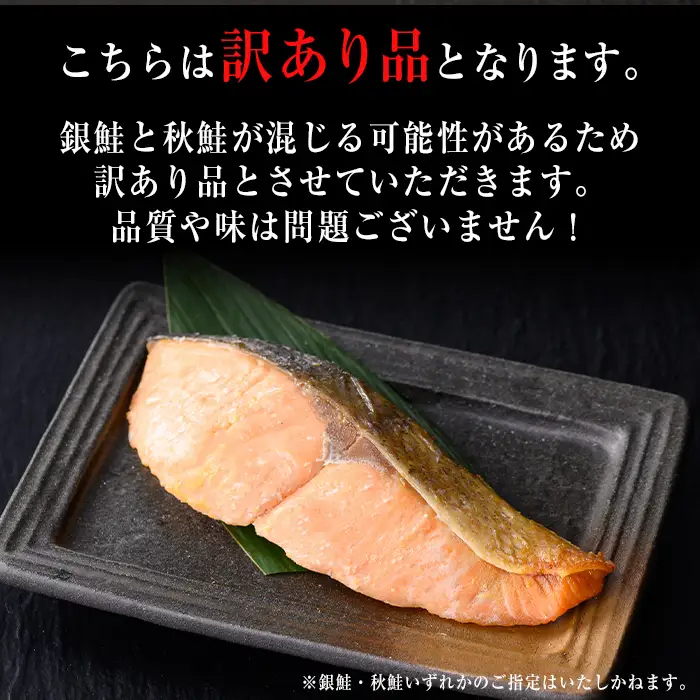 【訳あり】骨取り 鮭の西京漬け(計10枚) 西京漬け 鮭 冷凍【小迫ストアー】A908-v01