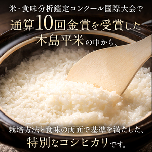 最高級米コシヒカリ「村長の太鼓判」約10kg | 米 白米 精米 特別栽培米 コシヒカリ こしひかり お米 おこめ 減農薬 無化学肥料 長野県 木島平村 信州