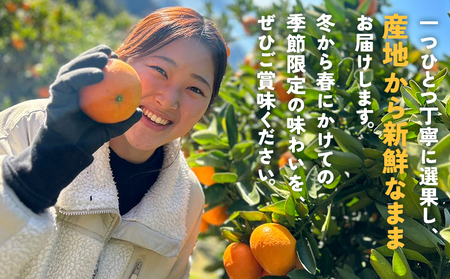 ＜伊予柑 贈答用 約2.5kg＞ ギフト いよかん イヨカン みかん 蜜柑 柑橘 果物 くだもの フルーツ ミカン 愛媛 国産 2.5キロ 果汁 ジューシー 明浜 特産品 笑丸 愛媛県 西予市【常温】『2026年1月下旬より順次出荷予定』AAN0071