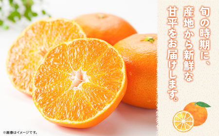 【先行予約】＜甘平 家庭用 約5kg＞ ご家庭用 かんぺい 高級 柑橘 ブランド みかん 蜜柑 訳あり 果物 くだもの フルーツ ミカン 愛媛 国産 ジューシー 明浜 特産品 笑丸 愛媛県 西予市【常温】『2027年2月上旬より順次出荷予定』AAN0078