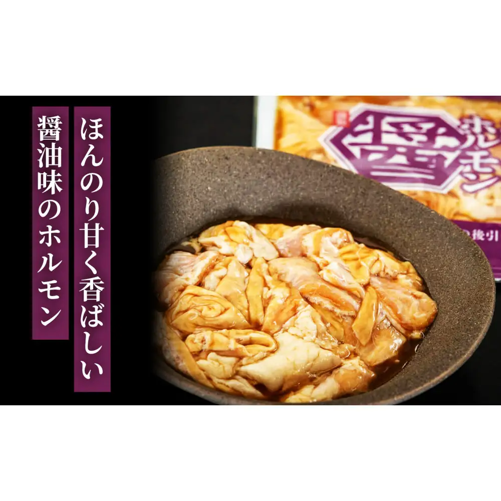 【12回定期便】秘伝ダレ豚ホルモン | 豚ホルモン_05487