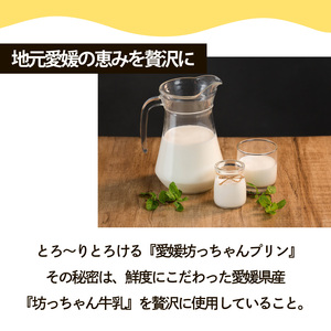 愛媛坊っちゃんプリン 12個セット レトロプリン | プリン 洋菓子 保存料不使用 お菓子 スイーツ デザート 卵 たまご タマゴ ぷりん セット 詰め合わせ 土産 愛媛県 松山市 愛媛坊っちゃんプリン【EBP004】
