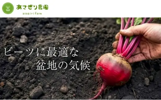 自社農園栽培 ビーツパウダー微粉末 200g（50g×4袋） 凝縮 超粗粉 粉末 健康 美容 国産 九州 熊本県 あさぎり町