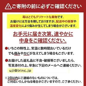 ＜先行予約！2026年12月中旬以降順次発送＞京都府宇治市産いちご(中粒・各計約500g・約250g×2パック・ギフト箱入り) 苺 イチゴ 果物 くだもの フルーツ 【uj-FL002-A】【red】