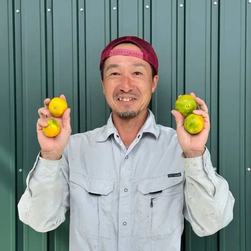 柑橘詰め合わせ 4種 7.5kg 【2027年4月中旬～下旬頃に順次発送予定】/ 和歌山 柑橘 甘い 果物 家庭用 【kwgc049-c-7d5B】
