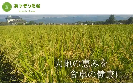 令和7年産 「 くまさんの輝き 」10kg 精米 コメ 米 お米 熊本県産 ごはん 白米 国産 九州 熊本県 あさぎり町 【2026年5月下旬迄発送予定】
