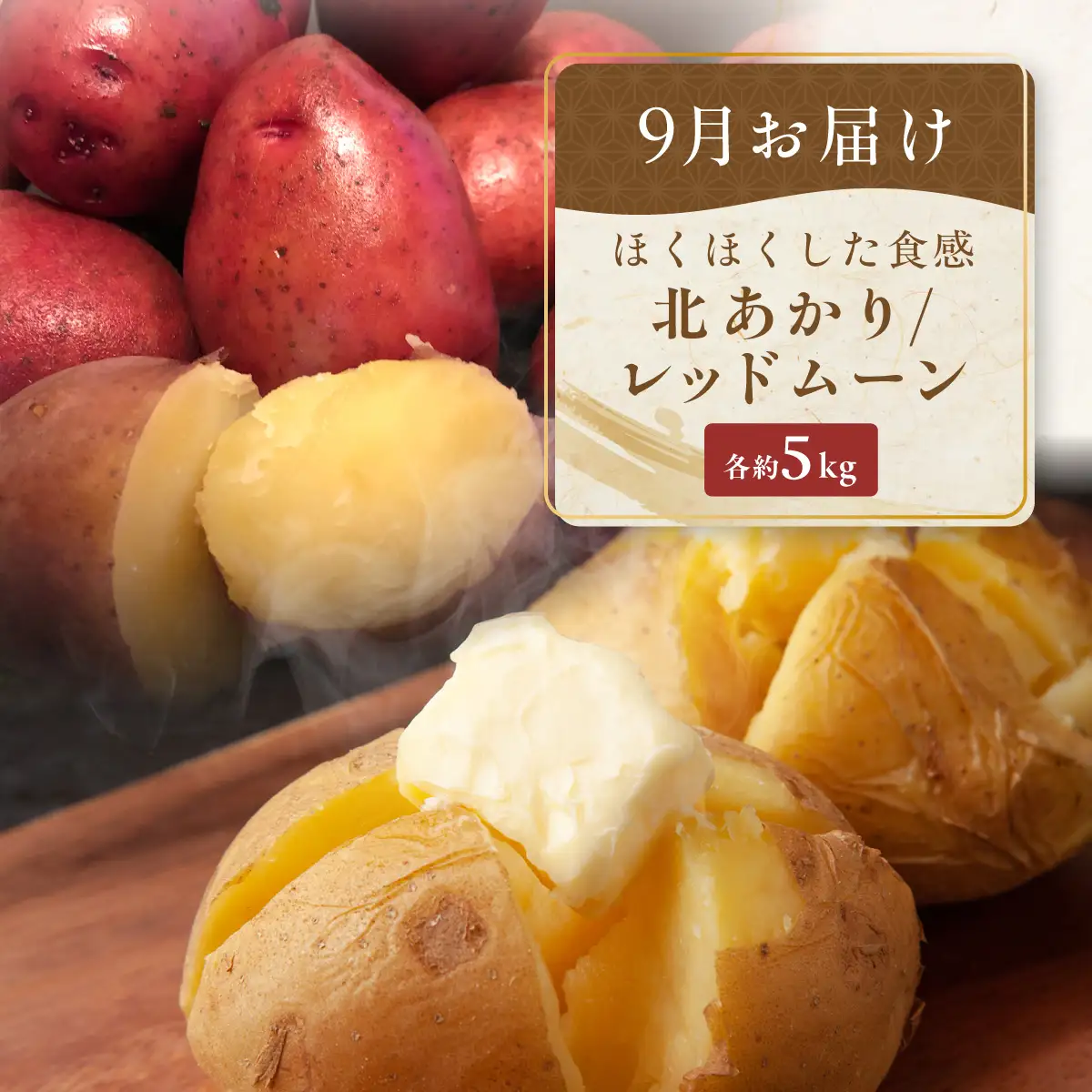 【定期便】旬の農産物定期便 年3回お届け ABAO2211 | 野菜 定期便