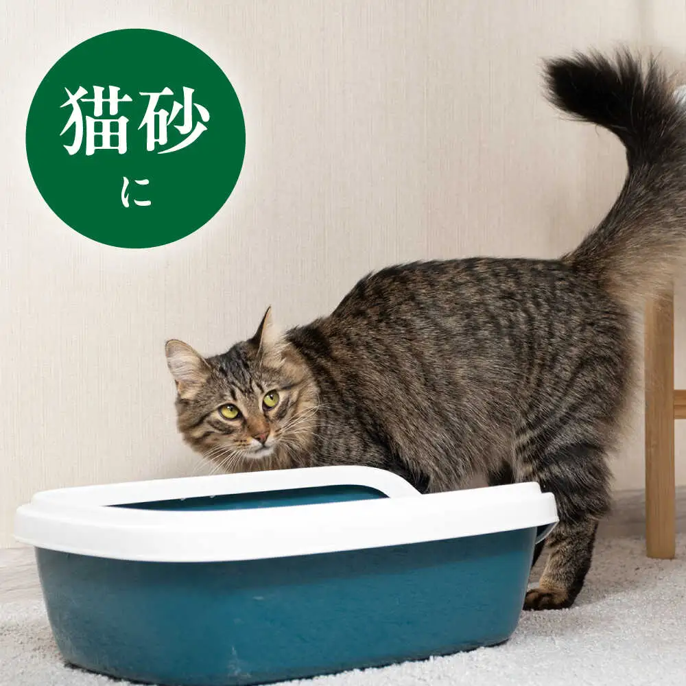 morrissの木質ペレット[VFA003]猫砂 ペット用品 国産 杉 ヒノキ ギフト プレゼント 贈り物 木箱入り
