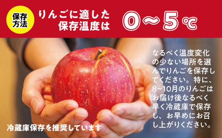 りんご シナノスイート 特秀 10kg 令和8年度収穫分 2026年10月上旬頃から2026年10月中旬頃まで順次発送予定 宮本ファーム エコファーマー 減農薬栽培 長野県 飯綱町 [2092]