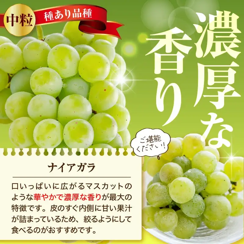 ぶどう ナイアガラ 2kg フルーツ 果物 山形 ブドウ
