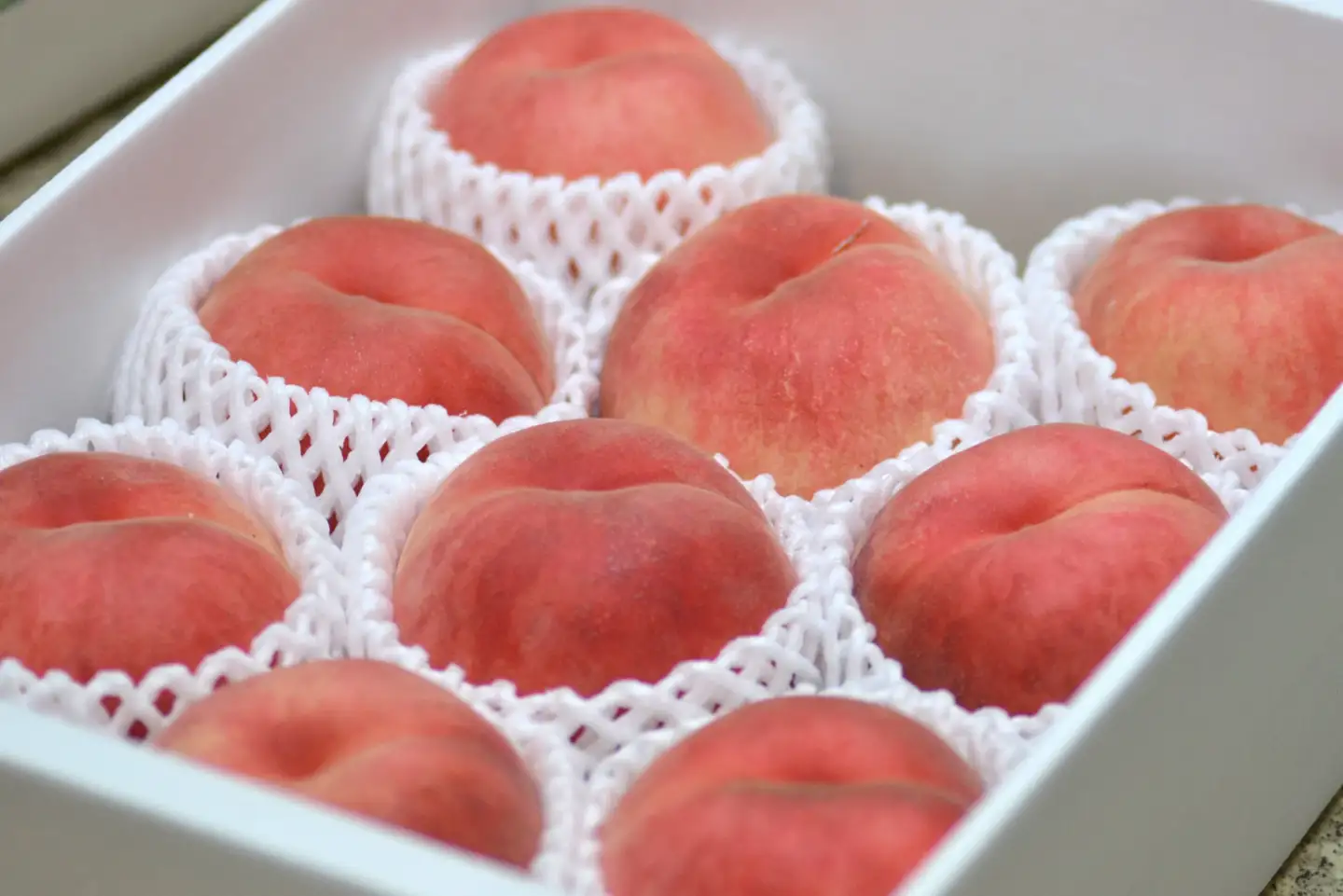 硬い !! もも 美晴白桃 2kg フルーツ 果物 山形 桃