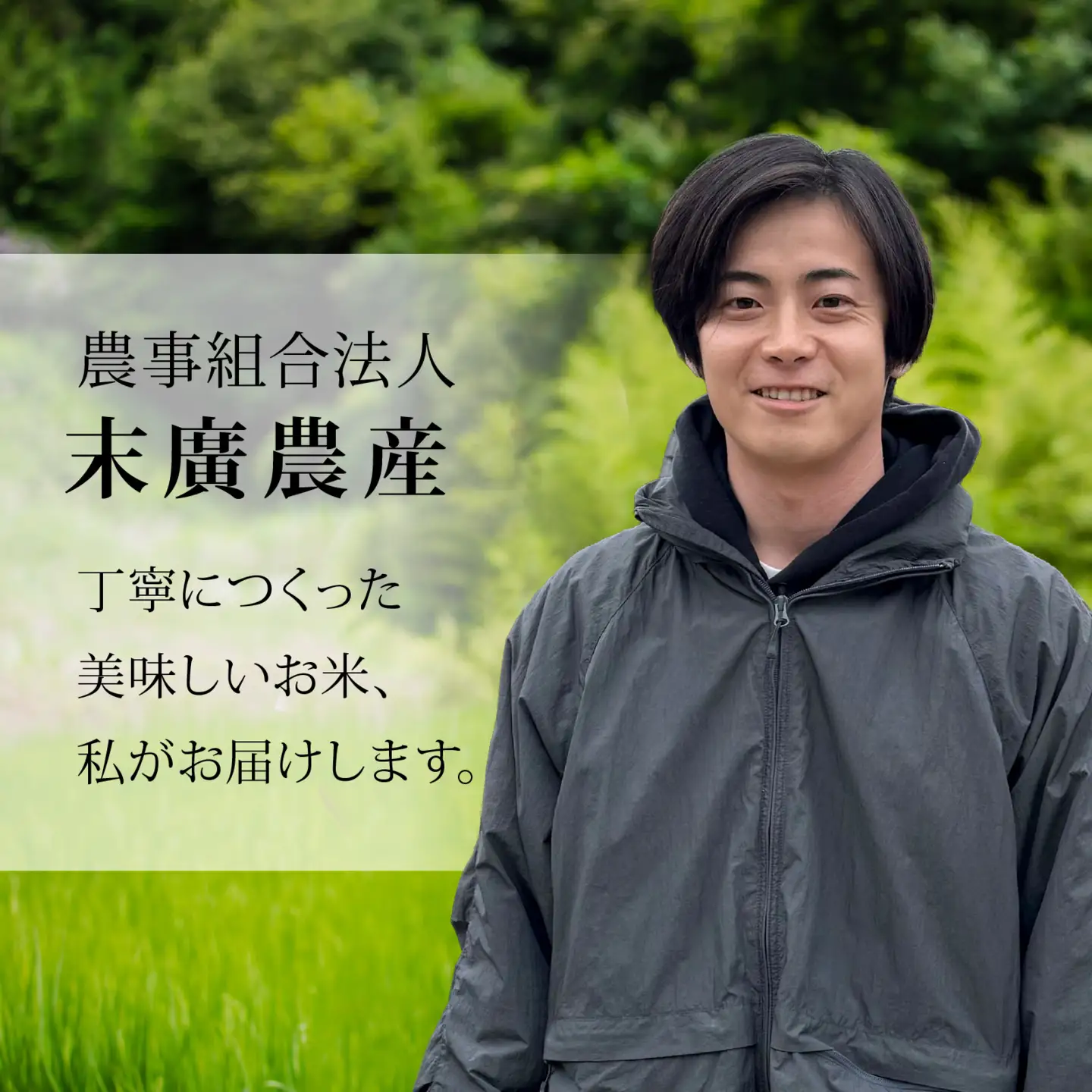 【令和8年産 新米】こしひかり  白米 10kg | コシヒカリ 