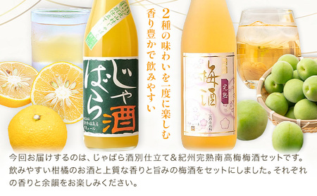 じゃばら酒別仕立て 紀州南高梅梅酒 セット 720ml×各1本 計1440ml 