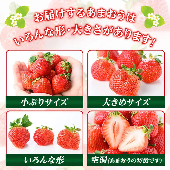 ＜2027年3月上旬以降順次発送予定＞福岡県産 あまおう (計1000g・250g×4P) いちご イチゴ 苺 ストロベリー 果物 フルーツ おやつ デザート 1000g 4パック 冷蔵 アマオウ ジャム スムージー ケーキ お取り寄せ 国産 福岡県産 【FUKUOKA MIOTSUKUSHI】as55-001