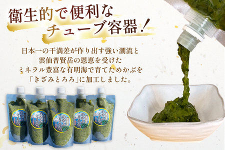 AJ658 めかぶ 有明海産 無添加めかぶとろろ 250g×10パック 定期便 3回 毎月 ◎