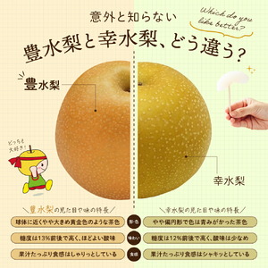 豊水梨 ご自宅用 約5kg【先行予約・数量限定】世羅 幸水農園 豊水 梨 なし フルーツ 果物 くだもの 果汁 シャリシャリ 酸味 濃厚 デザート 産地直送 JGAP認証 新鮮 【2026年9月中旬以降順次発送】A005-02