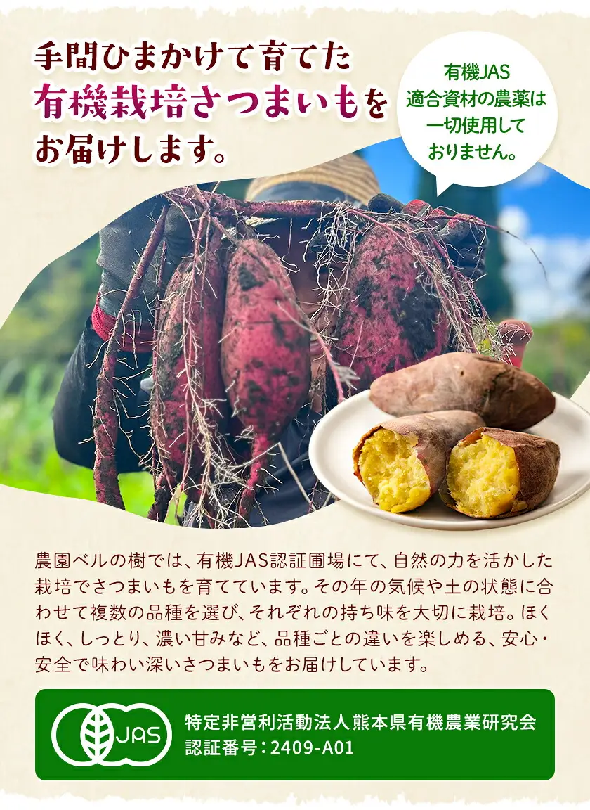 有機JAS認定 紅はるか 10kg 農園ベルの樹熊本県 南阿蘇村 さつまいも オーガニック 有機栽培 薩摩芋