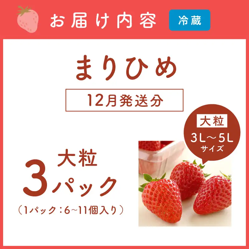 和歌山生まれのイチゴ【まりひめ】大粒3パック12月発送分《先行予約》いちご【0295-6】