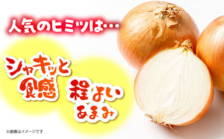 【今が旬!】 訳あり 玉ねぎ 10kg 　【えぐちファーム】 不揃い たまねぎ[HDE004]