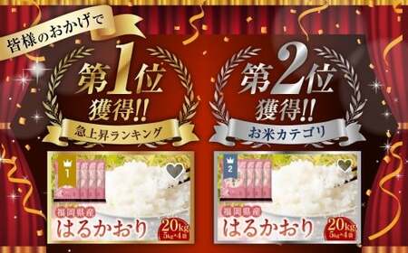 【令和7年産】 はるかおり 精米 10kg  香春町／ ふるさと納税限定 ふるさと納税限定品 お米 米 白米 食品 ご飯 飯 九州 福岡県 香春町 令和7年産 令和7年 