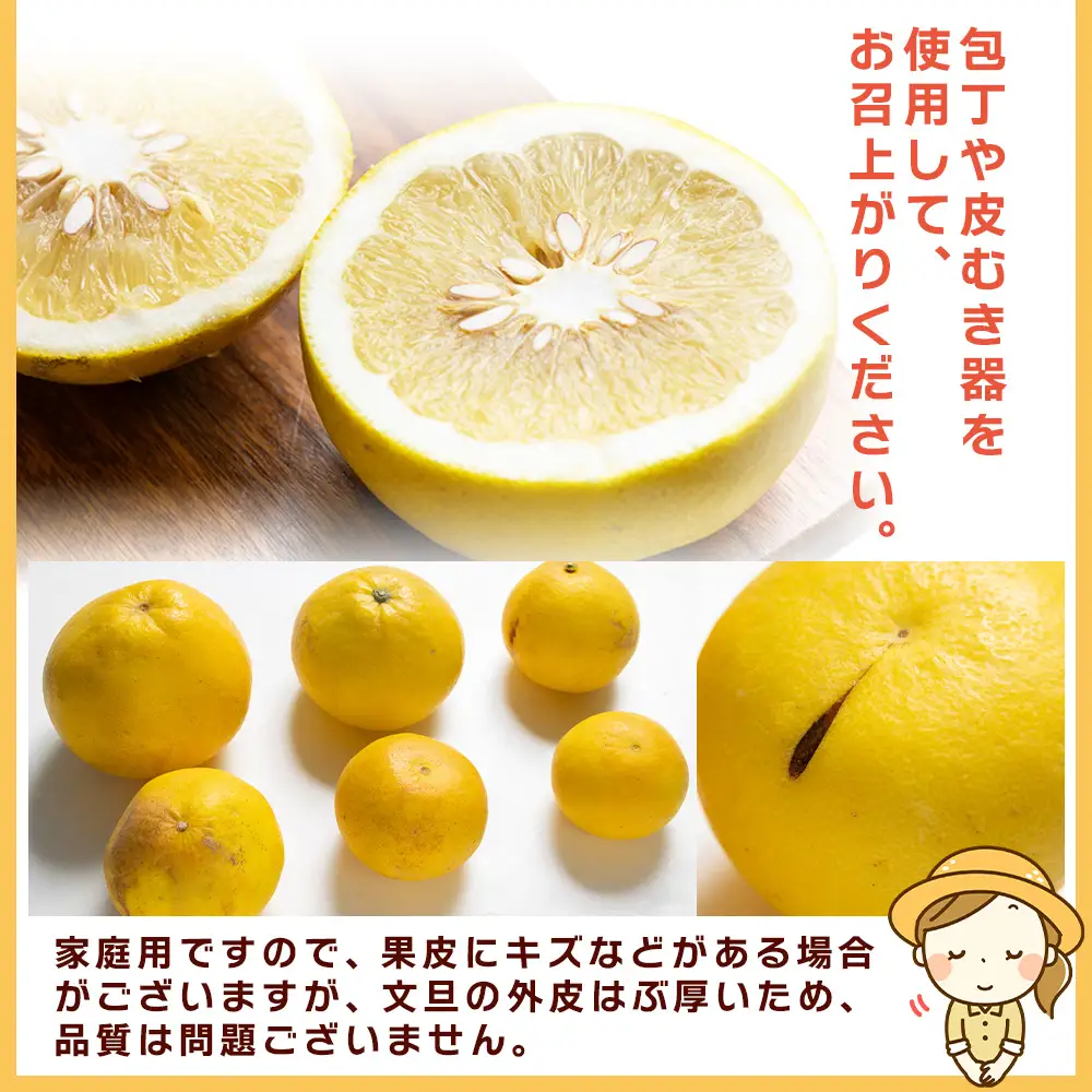 土佐文旦 家庭用 3kg 大小混合(サイズ：L～3L) 文旦 yk-0083