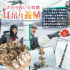 【スピード発送】 牡蠣 つばき姫 5kg 冷蔵生食可