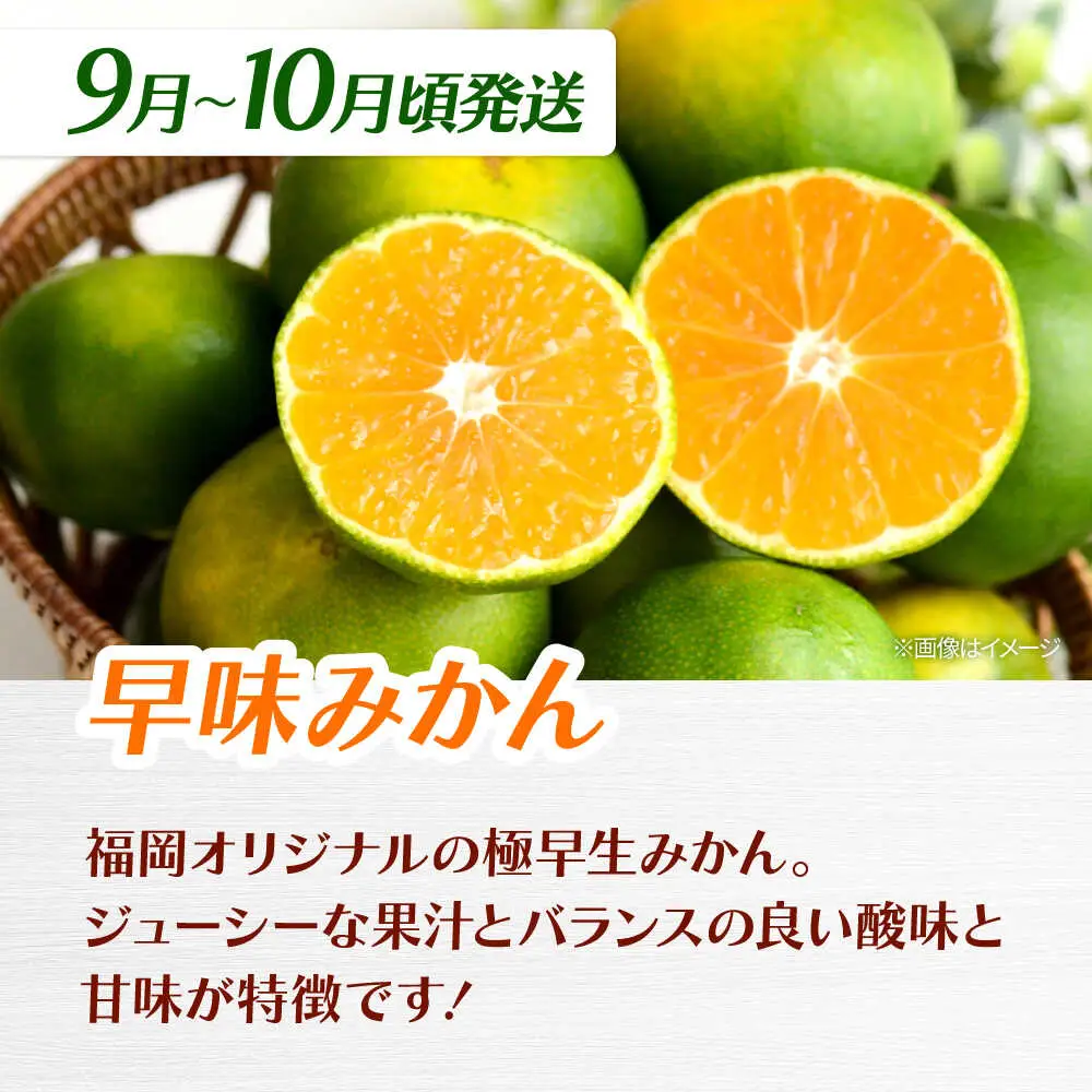 【全3回定期便】九州・福岡もぎたて フルーツ定期便 A　桂川町/一般社団法人地域商社ふるさぽ[ADCF017]
