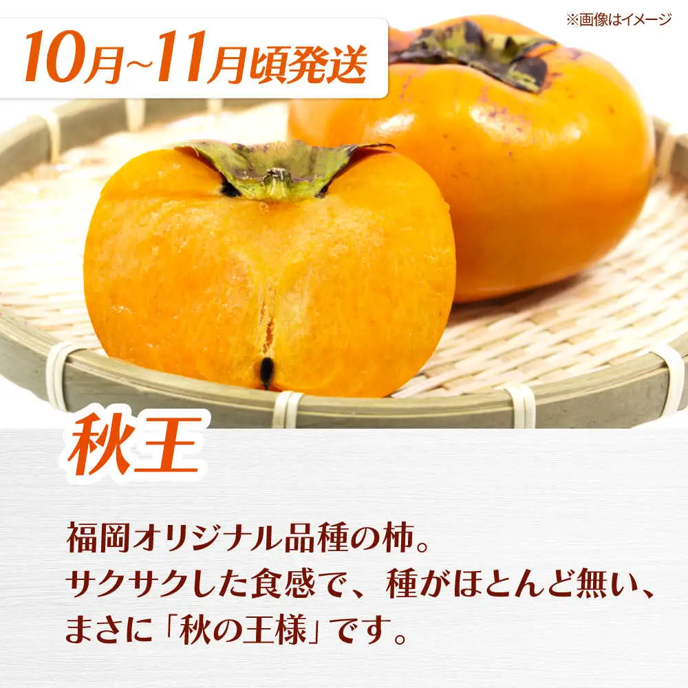 【全3回定期便】九州・福岡もぎたて フルーツ定期便 B　桂川町/一般社団法人地域商社ふるさぽ[ADCF018]
