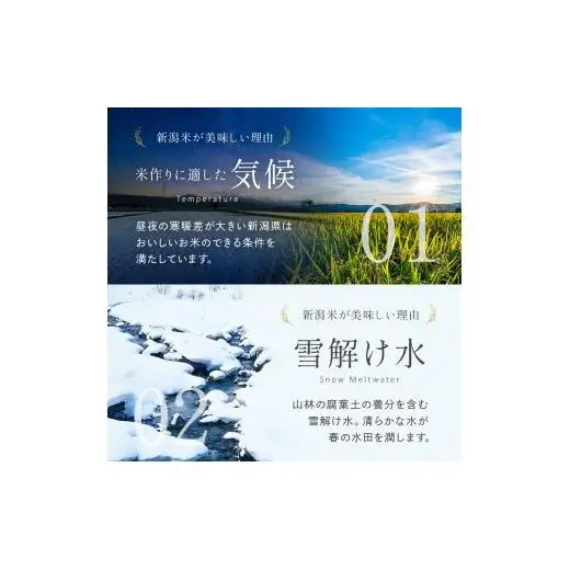 米 令和7年産 新潟産なんかん米こしいぶき 精米5kg